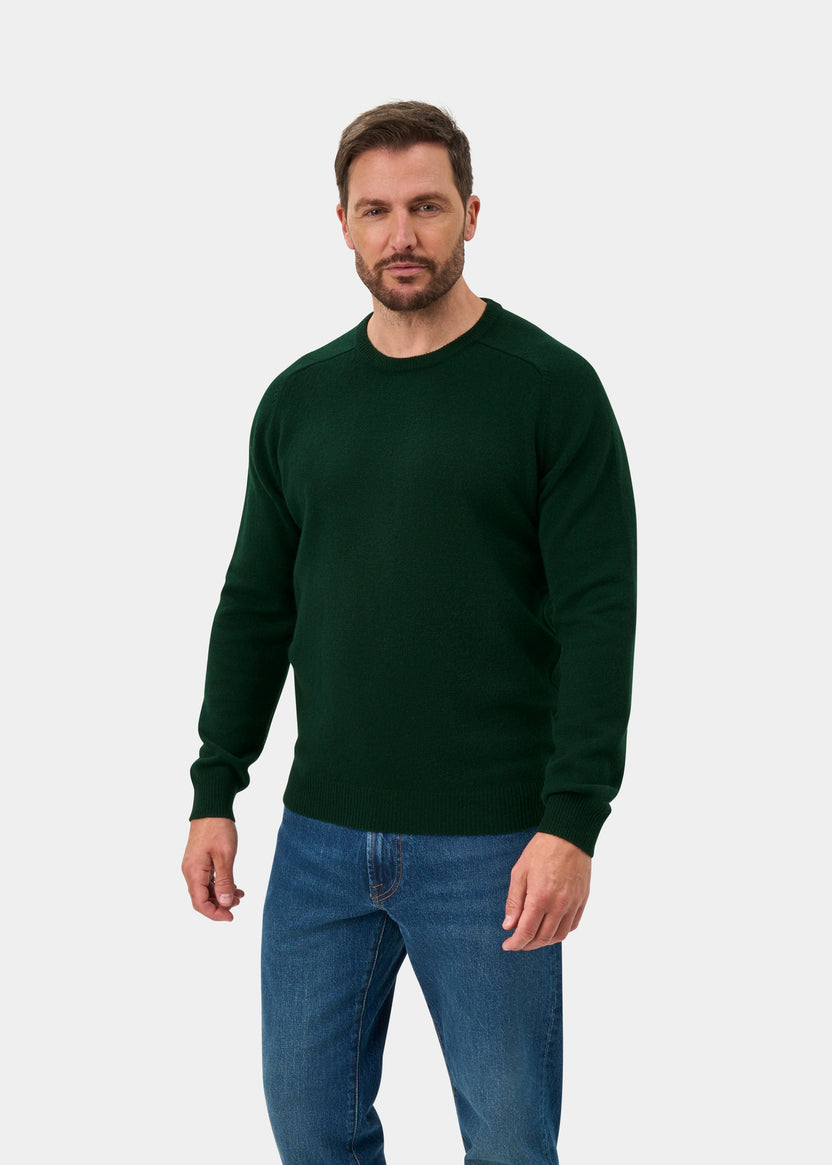 MAGLIONE GIROCOLLO ALAN PAINE